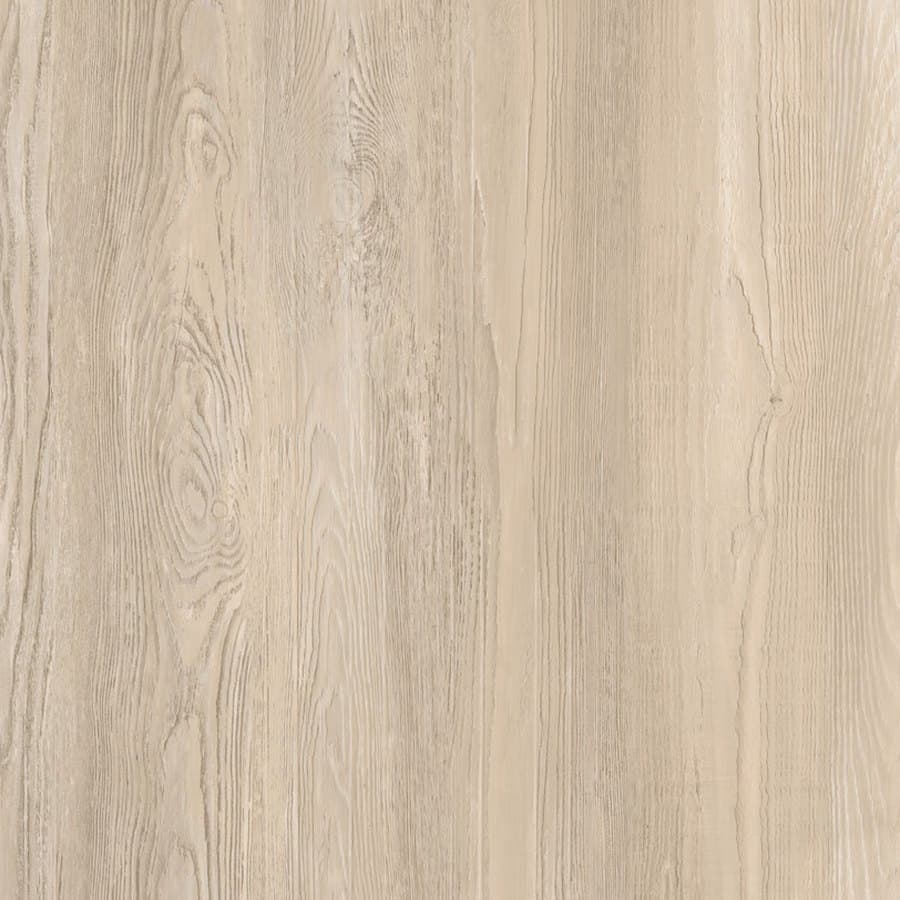 Gravity floor colour