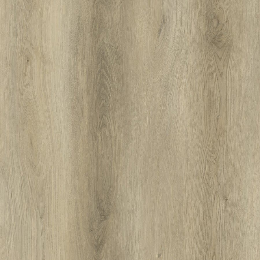 Astralis floor colour
