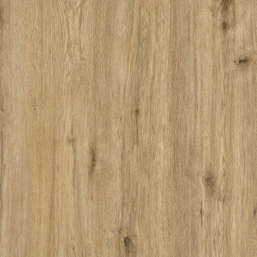 Earth floor colour
