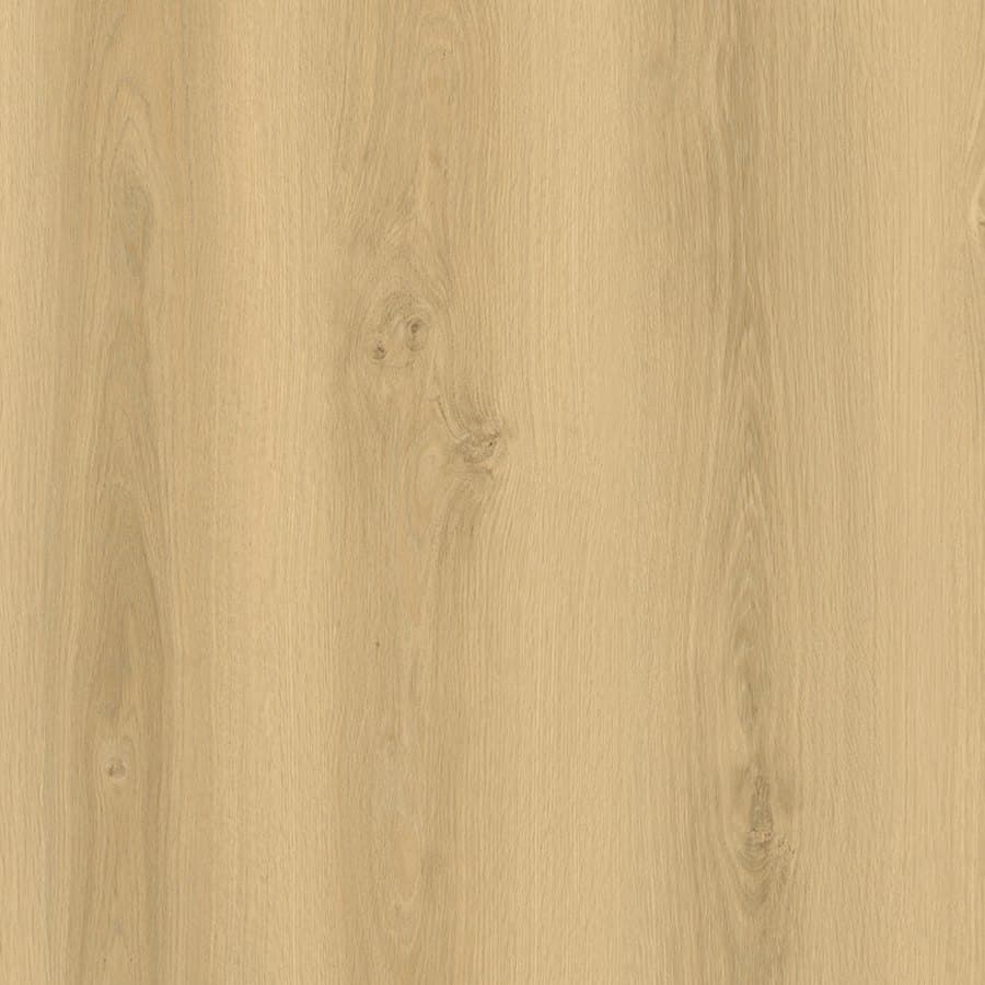Terra Nova floor colour