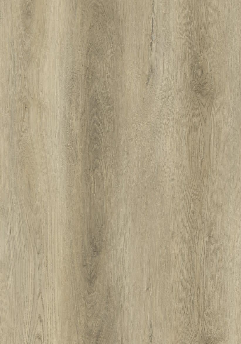 Close-up of Astralis flooring