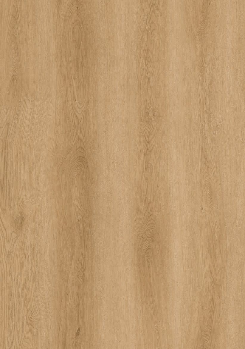 Close-up of Mercury flooring