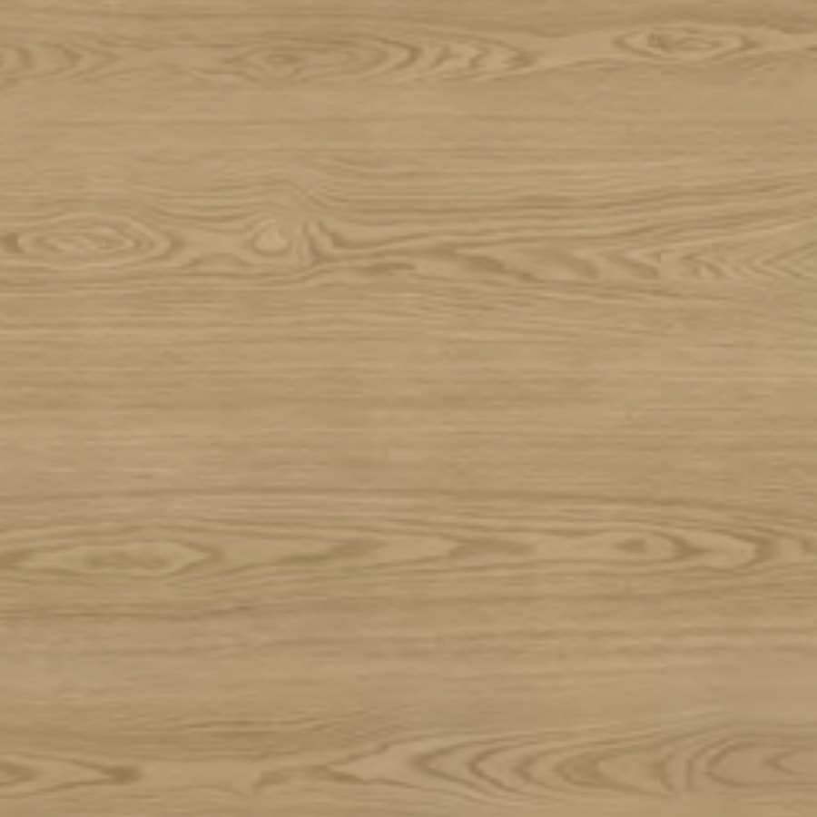 Savoye floor colour