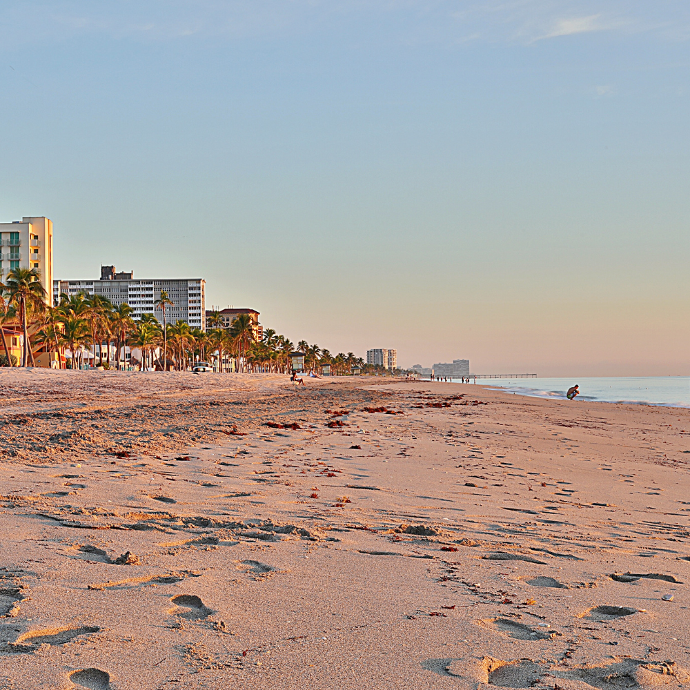 Best Flooring Contractor in Daytona Beach